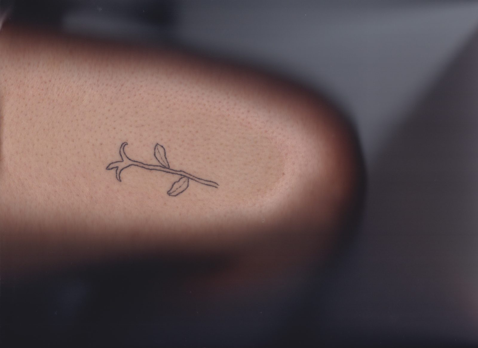 Same Flower Different Needle